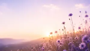 Bereavement Support